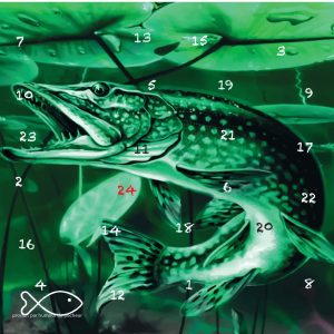Calendrier de l’Avent brochet – L’ADVENT’LURES